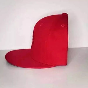 1 Color Palette - Red - Snapback Hat