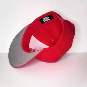 1 Color Palette - Red - Snapback Hat